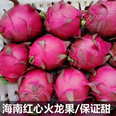 168675/现摘 金都一号新鲜水果 4.5-5斤蜜宝京都红肉红心火龙果生鲜