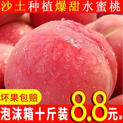 新鲜桃子超甜水蜜桃脆桃现摘毛桃大果当季软桃一整箱时令孕妇水果