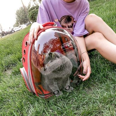 猫包外出便携宠物背包太空舱双肩背包大容量狗兔子猫咪四季通用潮