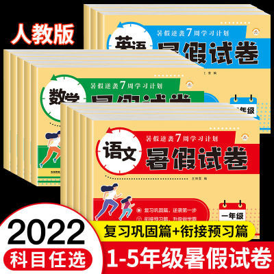 176217/2022版小学暑假试卷语文数学英语一升二三四五六年级暑假作业衔接
