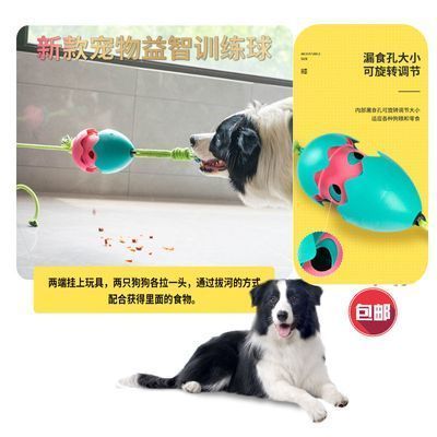 新款宠物玩具漏食球狗狗拉绳益智互动洁齿狗狗摇摆漏食球