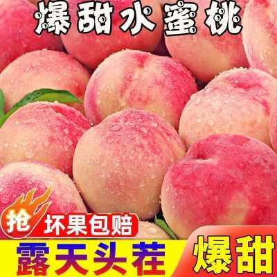 【爆甜水蜜桃】新鲜水果现摘水蜜桃5斤非油桃毛桃脆桃子批发包邮
