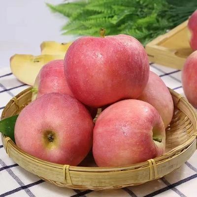 超低价陕西红富士苹果新鲜水果脆甜红富士当季平果整箱批发包邮