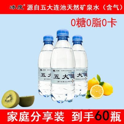 源于五大连池矿泉含气水60瓶*380ml无糖气泡水含气水小瓶