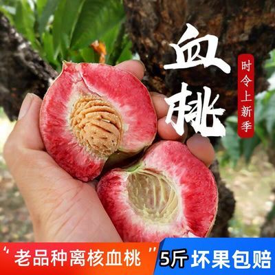 贵州新鲜血桃老树离核脆甜红脆硬小毛桃子当季水果【6天内发货】