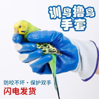 手养鹦鹉防咬手套宠物抓鸟放飞手套鹦鹉训练鸟防护手套鸟配件用品
