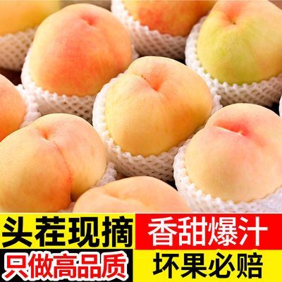 【不好包赔】水蜜桃10斤装当季新鲜水果大桃子整箱孕妇爆甜毛桃