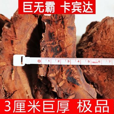 3厘米厚巨无霸卡宾达根部老树皮非洲卡宾拉树皮正品