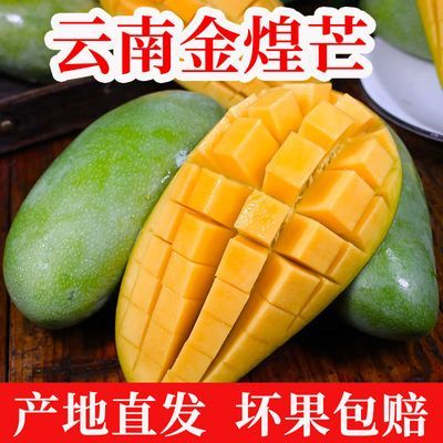 175782/云南金煌芒新鲜大芒果当季水果青皮金煌大青芒果整箱批发【5天内发货】