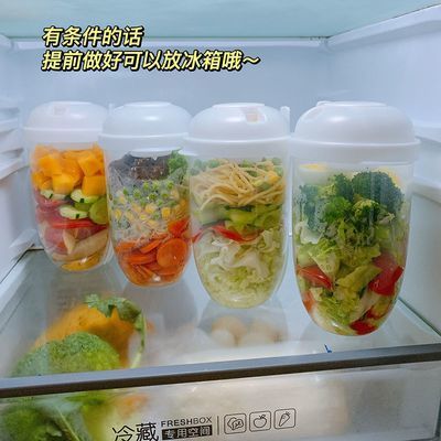 ins风早餐沙拉杯冰桶带叉子带酱料随身便携水果蔬菜轻食牛奶冰桶