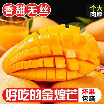 175807/广西金煌芒水仙芒果5斤热带水果当季新鲜特大青芒果整箱包邮大果