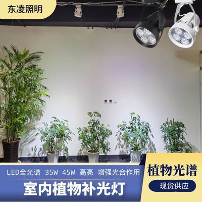 植物补光灯全光谱室内植物生长上色增强光合作用高亮35W45W射灯泡