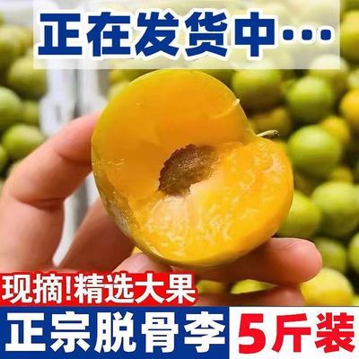 175612/正宗四川脱骨李子青脆李空心李土李子孕妇水果新鲜批发价整箱红李