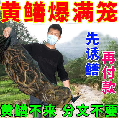 175174/黄鳝诱食剂【黄鳝整窝端】黄鳝饵料超浓腥引鳝诱鳝鳝鱼咬钩开口剂