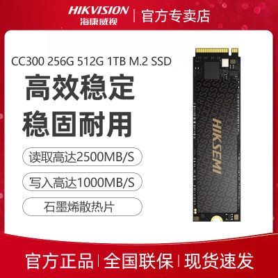 ڲ SSD̬ӲM.2ӿ NVMeЭ CC300 256GB 512GB109Ԫ