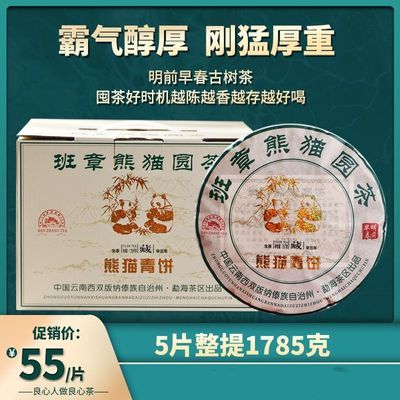 云南七子饼茶2021年头春茶普洱茶生茶500熊猫纯料老班章古树收藏