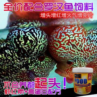 全效罗汉鱼饲料【增头增色增纹增火气】适合全系罗汉鱼食弘盾5号