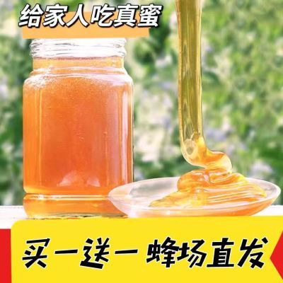 174978/蜂蜜纯天然土蜂蜜500g 百花蜜源天然野生蜂蜜 农家纯蜂蜜正品减脂