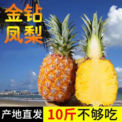 175982/精品云南金砖凤梨手撕凤梨当季新鲜水果生吃脆甜批发包邮菠萝整箱