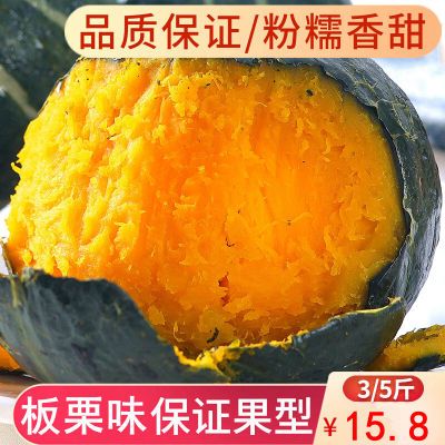 175849/新鲜板栗小南瓜板栗味板栗南瓜宝宝辅食水果型窝瓜老南瓜贝贝整箱