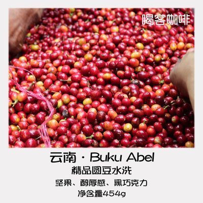 喝客 云南精品咖啡豆 精选阿拉比卡庄园圆豆 可现磨咖啡粉454g