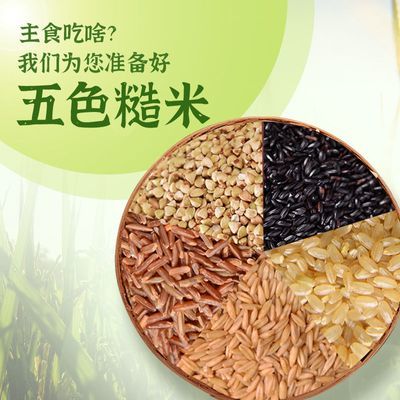 五色糙米正宗东北农家自产5斤黑米红米燕麦荞麦健身粮五谷杂粮胃