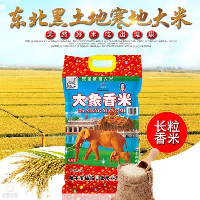 大象香米东北寒地长粒香米2023年新米10斤装真空袋包装大米