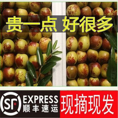 【顺丰包邮】正宗陕西大荔冬枣现摘脆甜大红枣应季新鲜水果