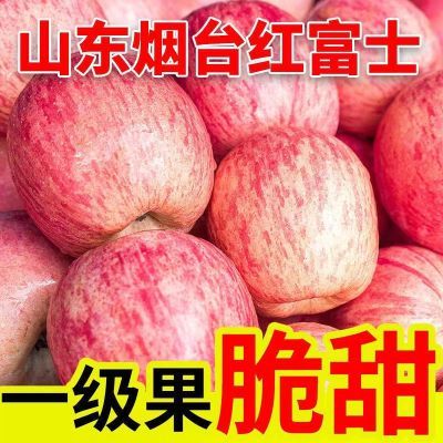 新鲜红富士苹果水果脆甜脆苹果山东烟台产地直发冰糖心苹果批发价