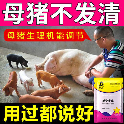 【母猪催孕】兽用催孕促情母猪不发清促孕药仔多多产仔母猪保健