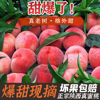 水蜜桃10斤毛桃桃子新鲜超甜脆桃大个批发鲜桃现摘桃大果孕妇水果