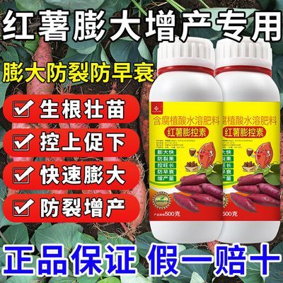 红薯叶面肥红薯膨大增产剂红薯控旺膨大素生根壮苗红薯增产专用肥