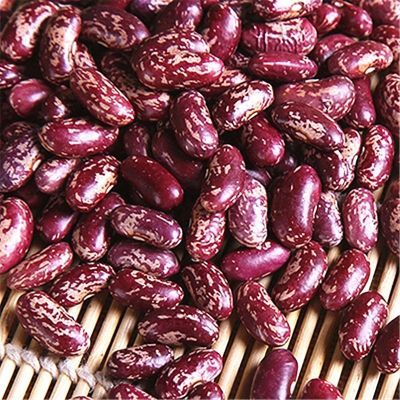 四季豆紫花芸豆农家自种贵州特产豆米火锅酸菜豆米四季豆新鲜