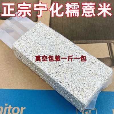 正宗宁化糯薏米薏仁米新碾压福建特产祛湿小薏米薏米仁煮粥薏苡仁