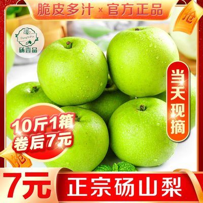 【正宗砀山梨】皇冠梨酥梨5/10斤水果新鲜现摘现发当季水果梨子水