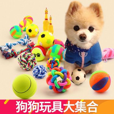【送铃铛】宠物狗狗磨牙耐咬训练发声玩具球泰迪金毛幼犬用品套装
