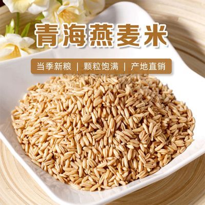 燕麦米新米 青海食用新鲜燕麦 优质五谷杂粮粗粮裸燕麦仁带皮胚芽