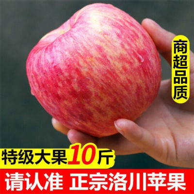 洛川苹果红富士苹果大果脆甜糖心苹果新鲜苹果脆3/5/10斤苹果水果