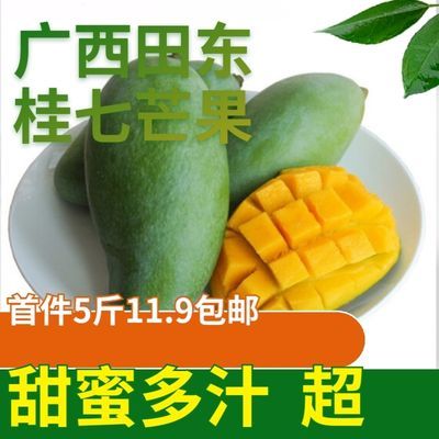 【正宗】田东桂七芒果香芒果5-10斤当季新鲜热带水果现摘现发整箱