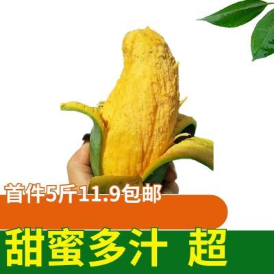 【正宗】广西田东桂七芒果香芒热带新鲜当季水果5-10斤现摘现发