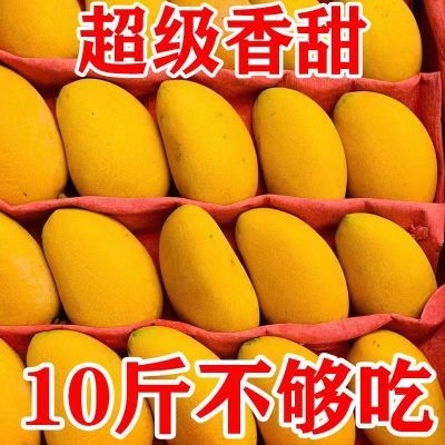 【秒杀价】芒果小台芒水果批发应季水果批发市场批发价芒果1/10斤