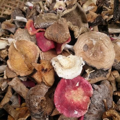 云南野山菌正宗多种食用菌野生干货蘑菇纯天然非云南蘑