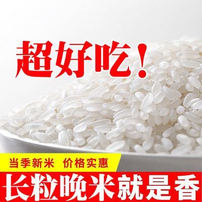 2022年新大米丝苗米长粒晚米籼米农家南方大米煲仔饭米