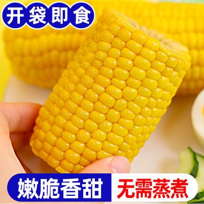 东北农嫂水果玉米段10段*100g真空即食甜玉米段零食
