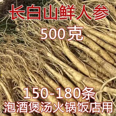 鲜人参500/250克新鲜现挖带土东北长白山小人参酒店火锅专用煲汤