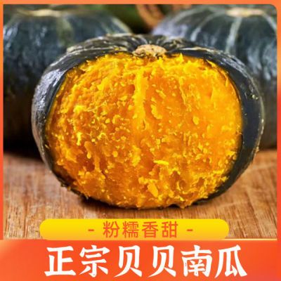 正宗真贝贝南瓜板栗味蔬菜新鲜香甜粉糯内蒙贝贝小南瓜5斤优惠商品图片
