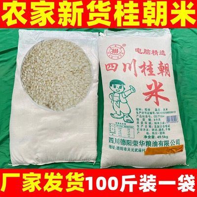 桂朝米贵朝米 米豆腐肠粉凉糕专用大米糙米厂家批发100斤贵潮