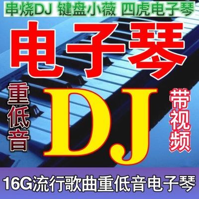 2024精选网红演奏电子琴dj车载u盘纯音乐重低音经典怀旧高音质mp3