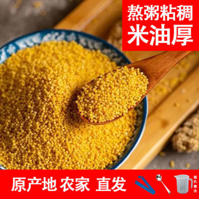 187810/黄小米新米煮粥糯小米养胃暖胃米油厚农家五谷杂粮香糯粘稠油小米