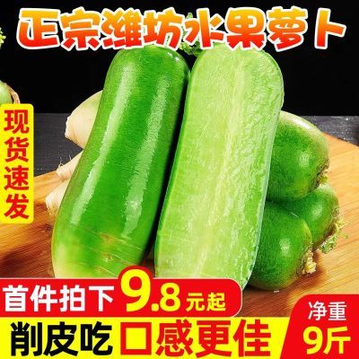 【现拔新货】5/9斤蔬菜水果萝卜生吃甜脆潍县沙窝萝卜水果青萝卜